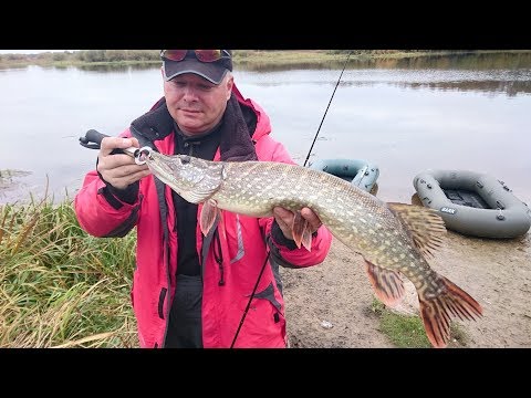 Видео: Старица Березины  Осень ты прекрасна !11 10 2018