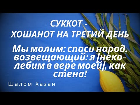Видео: Хошанот - 3 день. Спаси народ Израиля!!
