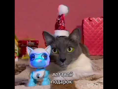 Видео: Котинет утерянная серия 2003 года Новый Год