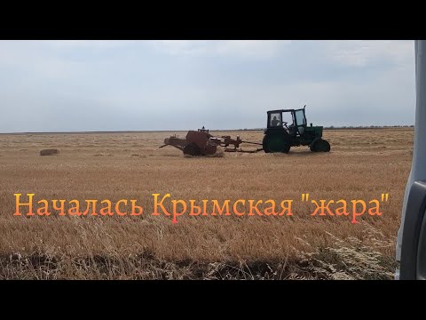 Видео: 14 июля 2024 г.Крымская жизнь! Лето,это всегда жарко!