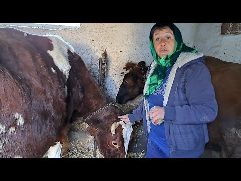 Видео: Мы снова вместе!