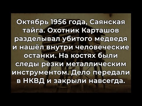 Видео: Охотник убил медведя в тайге. Внутри нашли то, что ВЛАСТИ скрывали 30 лет