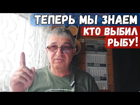 Видео: Теперь мы знаем кто выбил рыбу !