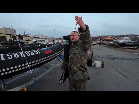 Видео: Ответы на вопросы