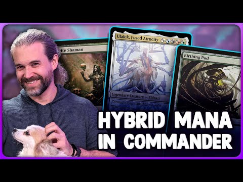 Видео: Мысли о Командире и Гибридной Мане