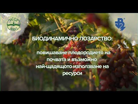 Видео: Биодинамично лозарство: повишаване плодородието на почвата и най-щадящо използване на ресурси