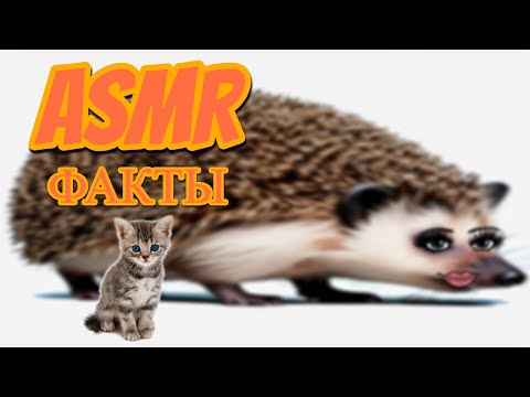 Видео: АСМР успокаивающий шёпот о всяком разном.