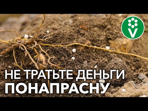 Видео: Как сэкономить на минеральных удобрениях?