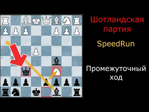 Видео: |Шотландская партия за черных| Сила промежуточного хода| Скоростной забег
