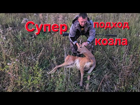 Видео: Охота на самца косули. Козёл. Карабин 308, Франчи.