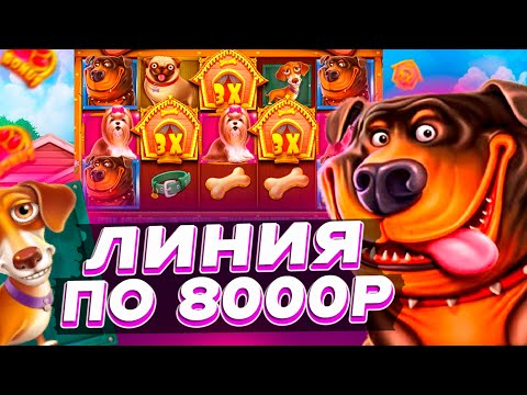 Видео: СЛОВИЛ ЗАНОС В СЛОТЕ THE DOG HOUSE ? | ЛИНИЯ БУДОК | ALL-IN | ЗАНОС В СОБАКАХ | ЗАНОСЫ НЕДЕЛИ
