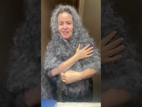 Видео: 5 ноября 2025 г.