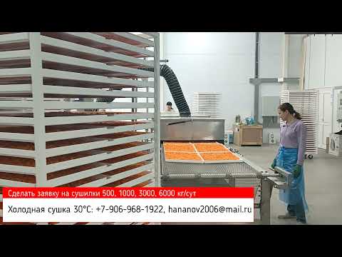 Видео: Сушилка для овощей, ягод и фруктов промышленная (производственная). Низкая температура сушки 30°С