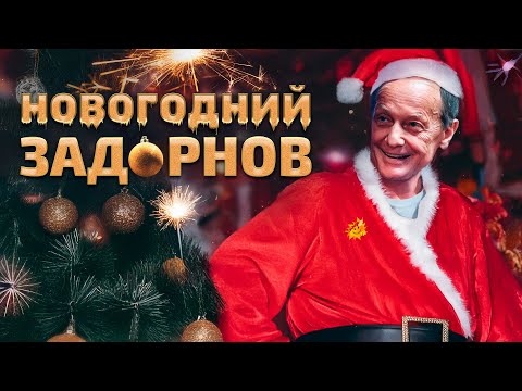 Видео: НОВОГОДНИЙ ЗАДОРНОВ - Михаил Задорнов | Концерт в хорошем качестве   @zadortv      #юмор