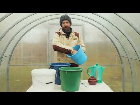 Видео: От этого угощения за уши не оттащить. Рецепт моченых яблок.