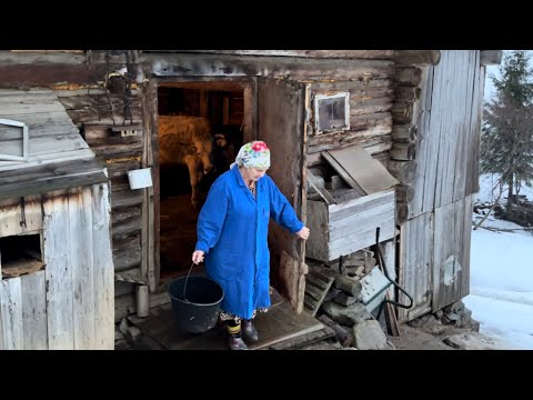 Видео: Життя та повсякденні справи у високогірному селі. Квашена капуста з копченою ковбасою.