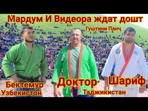 Видео: Гуштини Панч. Бектемур. Шариф. Гуштин 2025. #ОВОРАГАРД