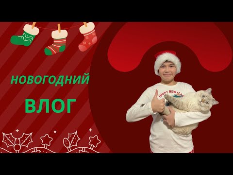 Видео: Новогодний Влог...