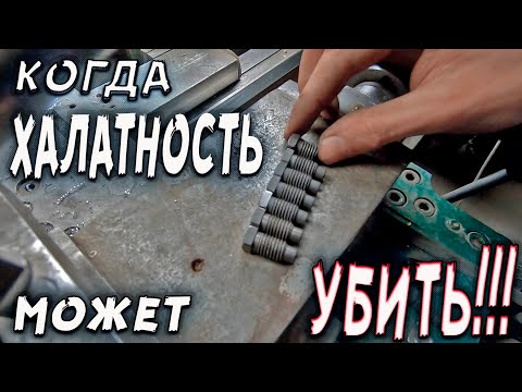 Видео: Пиптики маленькие, а ОТВЕТСТВЕННОСТЬ большая