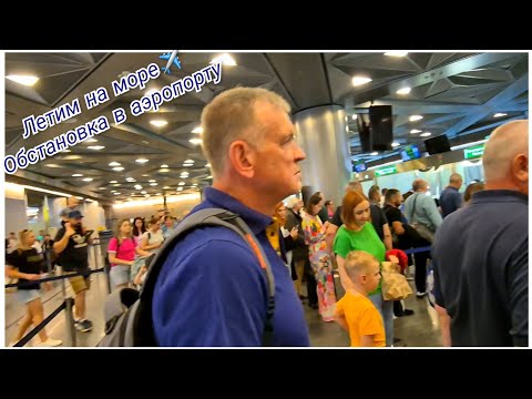 Видео: Летим в Турцию  Turkish Airlines.Обстановка в аэропорту.Что с задержками рейсов.Цены бешеные