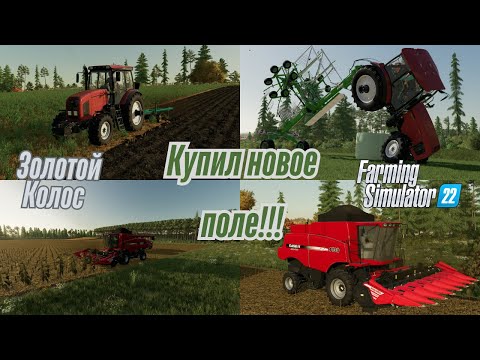 Видео: Fs 22 Золотой Колос!!! Расширяю Полевые Угодия !!!
