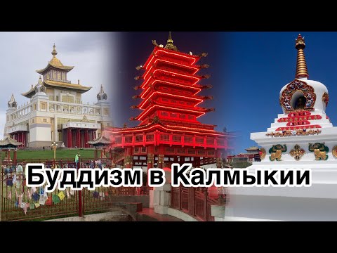 Видео: Буддизм в Калмыкии / Путешествие в Элисту / Mr.GrowLive