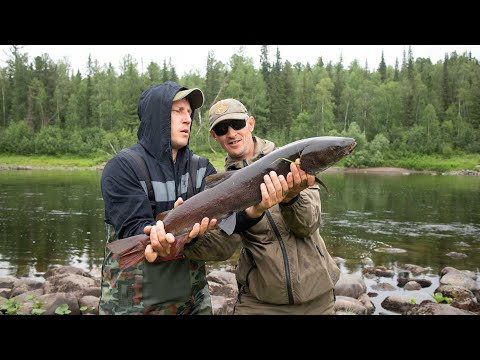 Видео: Путешествие в Туруханский край. 5 серия. Ловим тайменя.