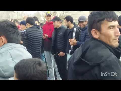 Видео: Улугбек дар д чорубкул хамара девона кард