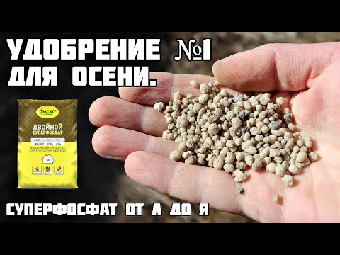 Видео: Суперфосфат увеличит урожай любого растения в 3 раза при правильном внесении! Все о суперфосфате!