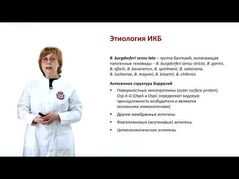 Видео: ИКБ  Ч.1