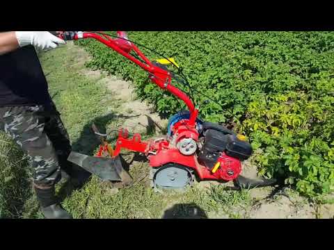 Видео: Очень удачное приспособление для прополки картошки, которая легла в междурядье.