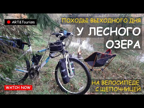 Видео: Велопрогулка в "золотую осень" 11.10.2025