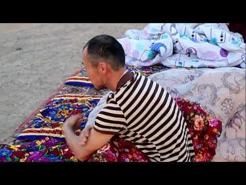 Видео: Прогресс ауылы2