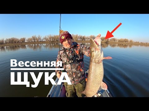 Видео: ВЕСЕННЯЯ ЩУКА  2019. КРУПНЯК НА 1 ПРОВОДКЕ!! !Nissin Ares Lester 800ML