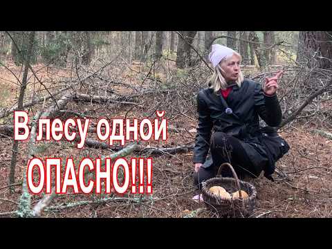 Видео: 🌲 Грибник зашел в лес и обалдел! Живу на краю села