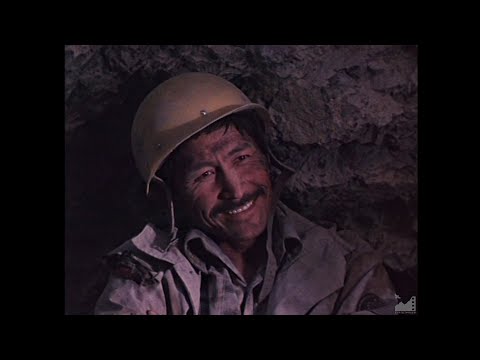 Видео: Мужчины без женщин (1981) реж. Альгимантас Видугирис