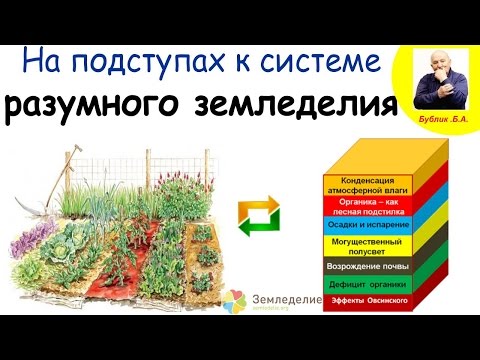 Видео: На подступах к системе разумного земледелия. Б.А. Бублик