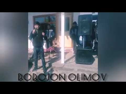 Видео: Туй дар Басманда.Tuy dar Basmanda