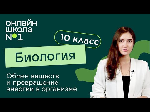 Видео: Обмен веществ и превращение энергии в организме. Биология 10 класс. Видеоурок 21