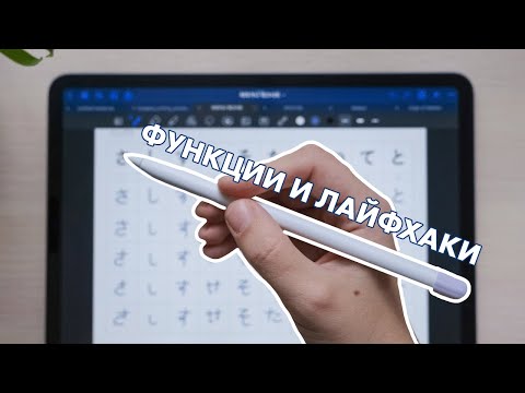 Видео: Что умеет Apple Pencil и как с ним работать?