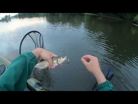 Видео: 11 минути екшън! Риболов на кефали с каяк. Рубриката - "хвърли - вади" !!!