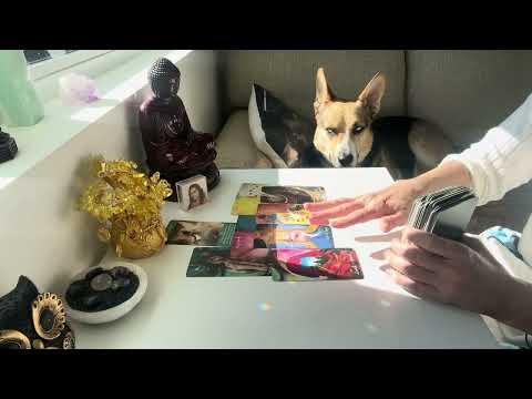 Видео: Трудности заканчиваются — колесо фортуны поворачивается в вашу пользу