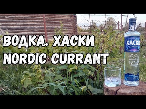 Видео: Водка. ""Хаски "северная смородина""
