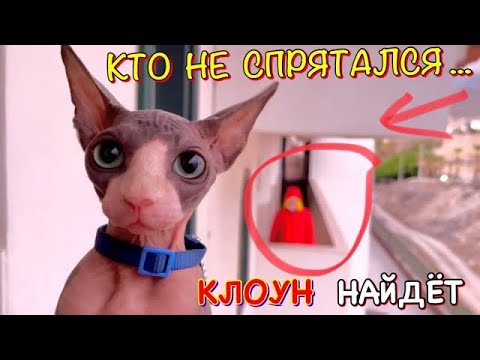 Видео: ПРЯТКИ от СТРАШНОГО КЛОУНА в ОТЕЛЕ 🤡 КЛОУН Следит за Котом Миллионом
