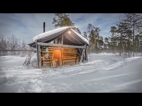 Видео: ВСТРЕЧАЙ ИЗБА. В ТАЙГУ НА ДВЕ НОЧИ. ДИКАЯ РЫБАЛКА В ГЛУХОЙ ТАЙГЕ. ТАЁЖНЫЙ БЫТ НА СЕВЕРЕ КАРЕЛИИ