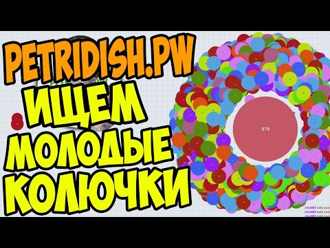 Видео: PETRIDISH.PW | # 10 | ВЕСЁЛЫЕ ЭКСПЕРИМЕНТЫ