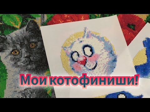 Видео: Мои котофиниши!