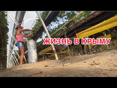 Видео: Работа в теплице/ Субботнее застолье 