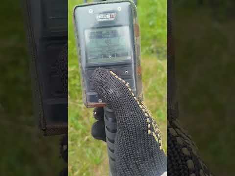 Видео: 26 мая 2025 г.