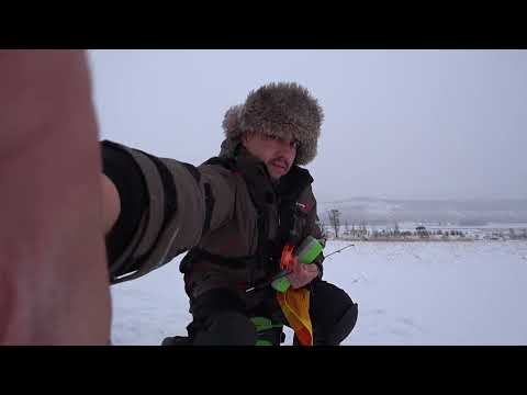Видео: Ловля щуки на живца, зимняя рыбалка, уже глухозимье.  Рыбалка на озере Ошколь.